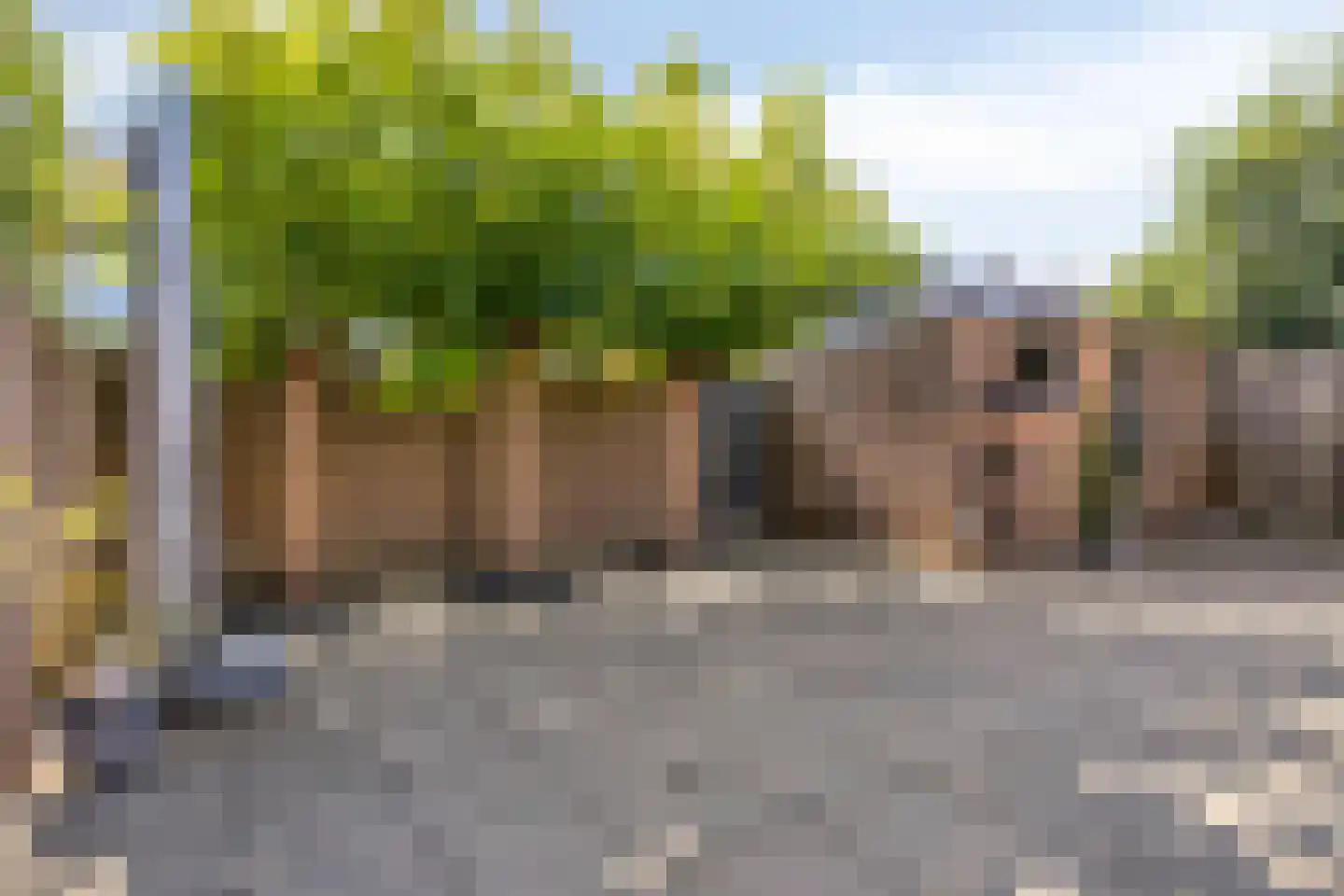 Caspar Damstraat 30 Zundert thumbnail 34