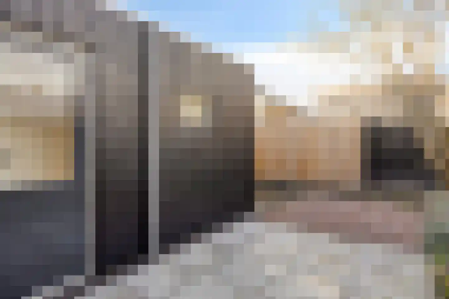 Caspar di Roblesstraat 18 Harlingen thumbnail 24