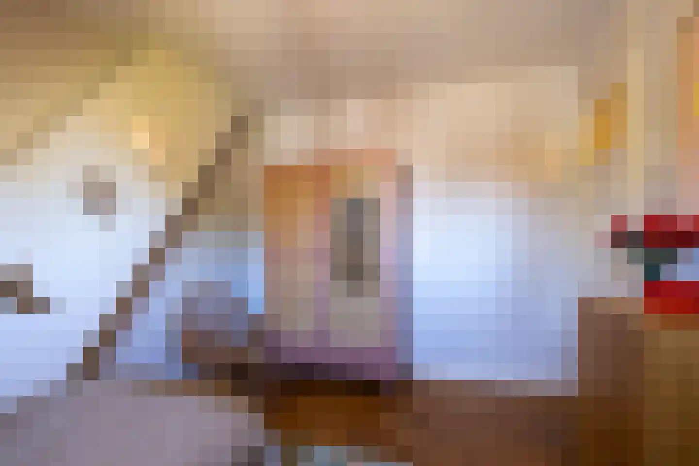 Caspar Fagellaan 1 Rotterdam thumbnail 32