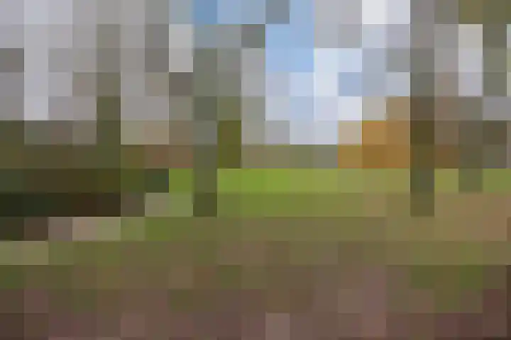 Caspar Fagelstraat 2 A Delft thumbnail 33
