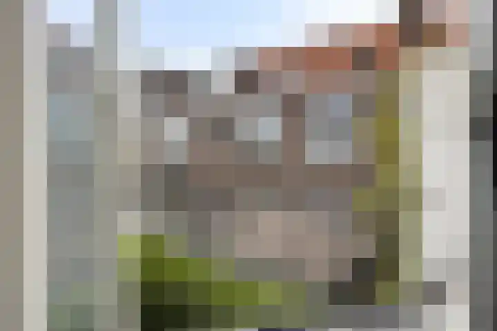 Caspar Fagelstraat 61 Delft thumbnail 16