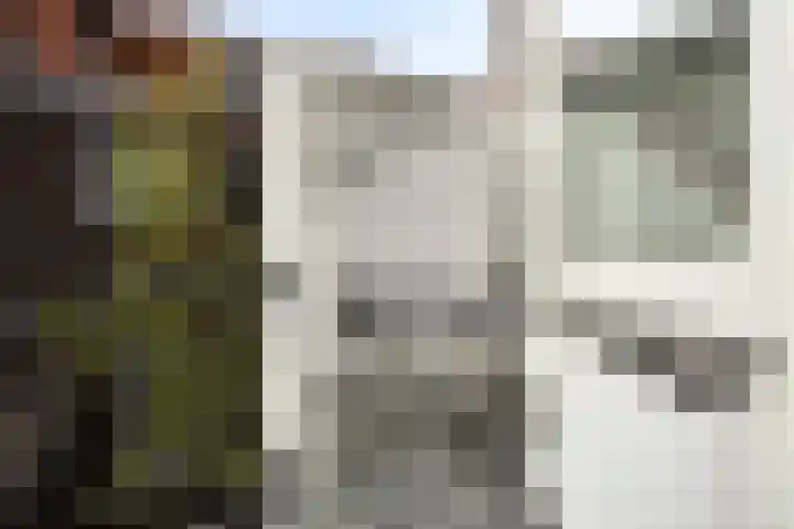 Caspar Fagelstraat 61 Delft thumbnail 17