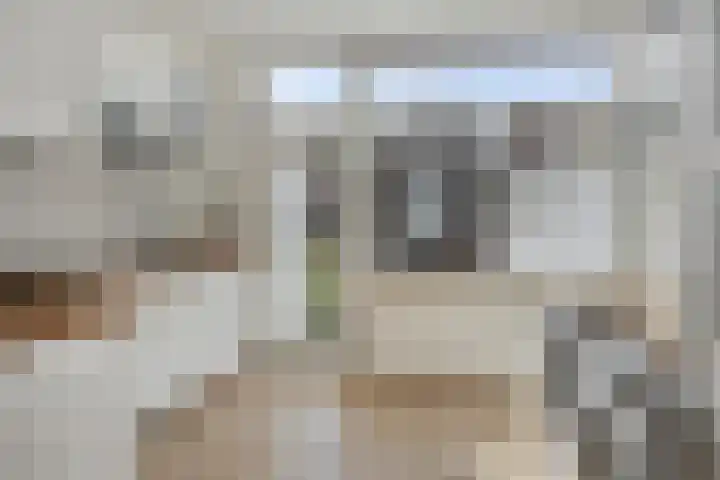 Caspar Fagelstraat 61 Delft thumbnail 9