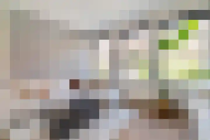 Caspar Fagelstraat 62 Delft thumbnail 10