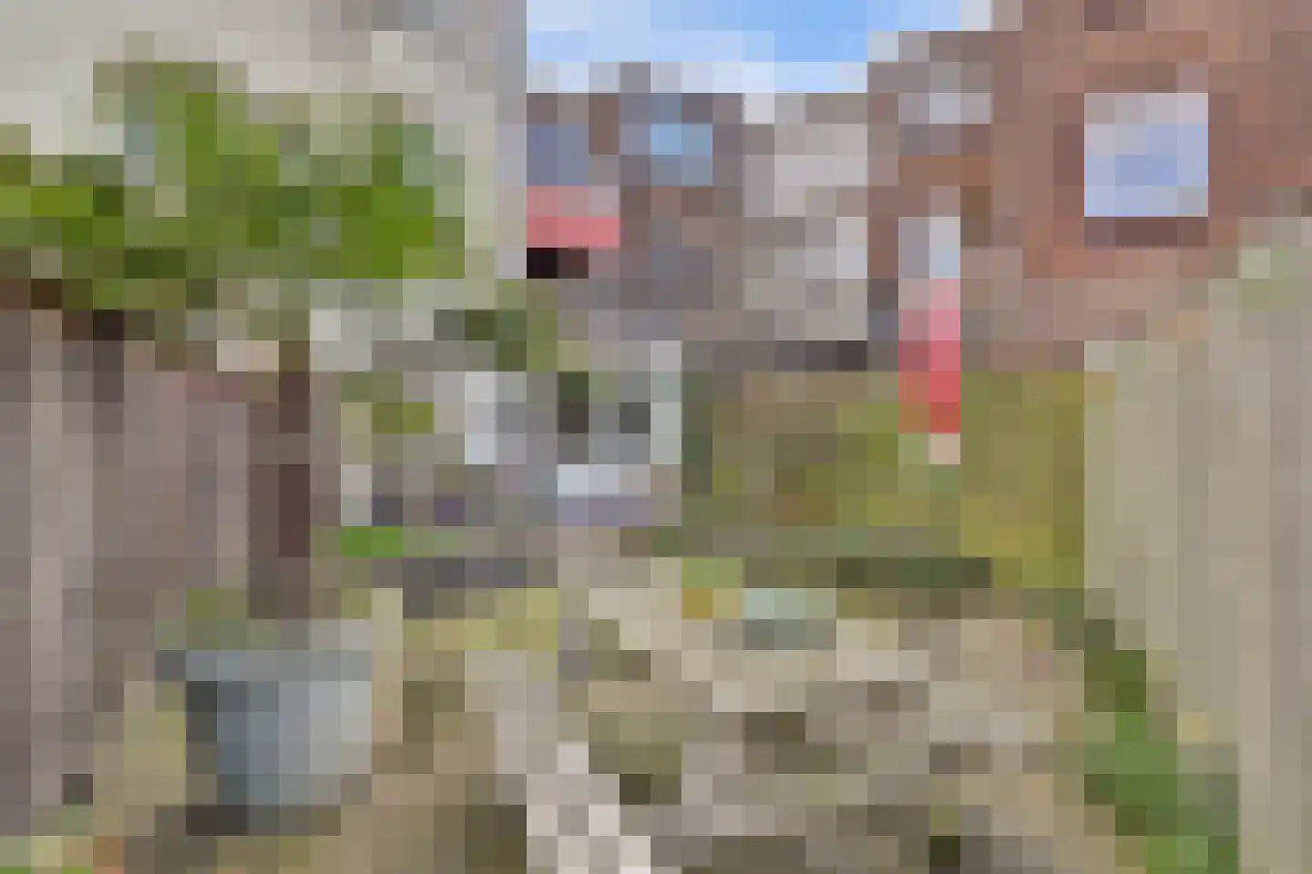 Caspar Fagelstraat 7 A Delft thumbnail 24