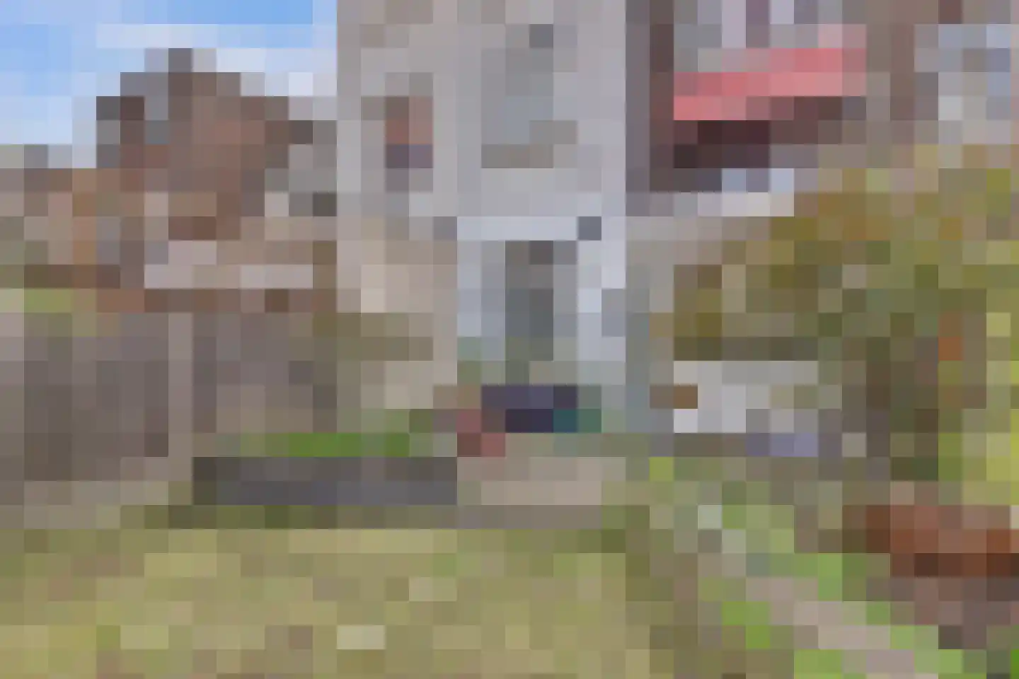 Caspar Fagelstraat 7 A Delft thumbnail 5