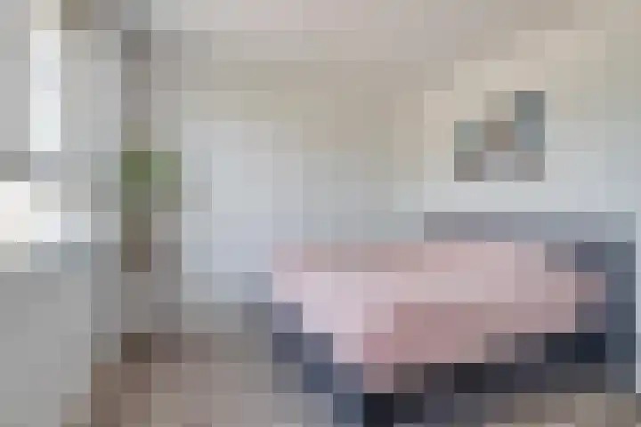 Caspar Houbenplein 14 Tilburg thumbnail 19
