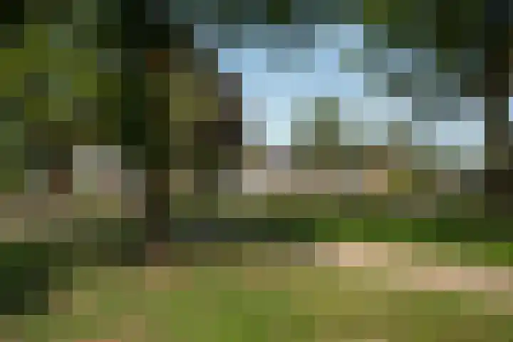 Casparus B.J. Landweerlaan 12 Rijssen thumbnail 27