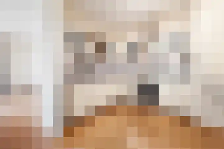 Casparushof 12 Weesp thumbnail 17
