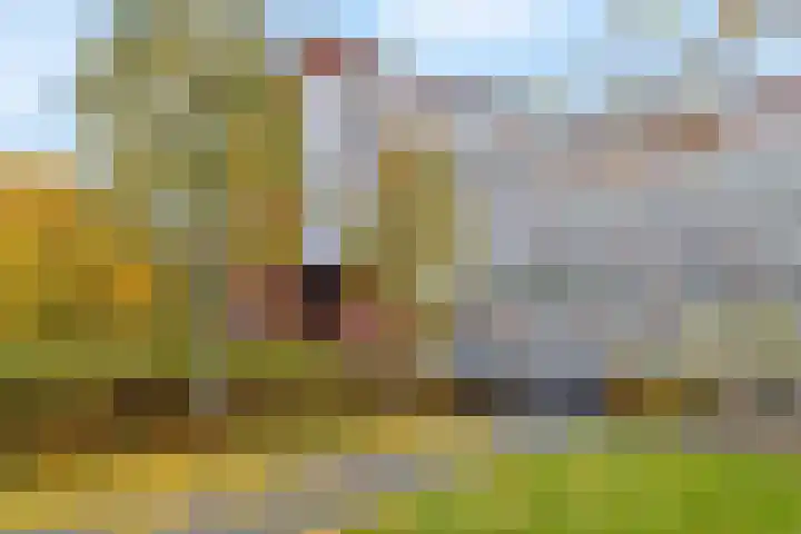 Casparushof 12 Weesp thumbnail 31