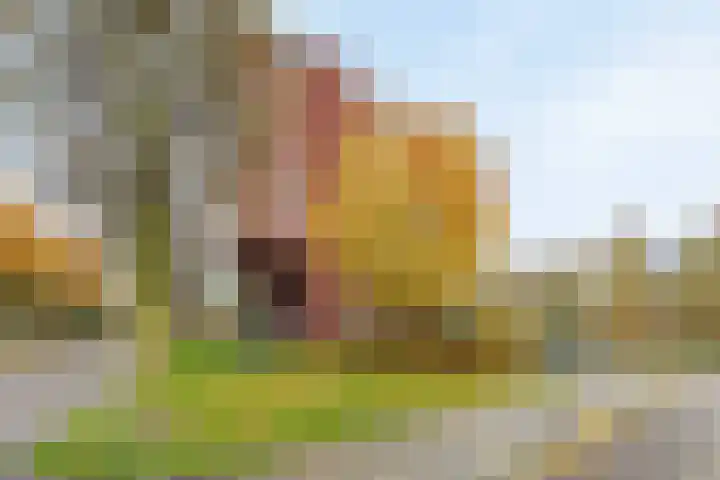 Casparushof 12 Weesp thumbnail 33