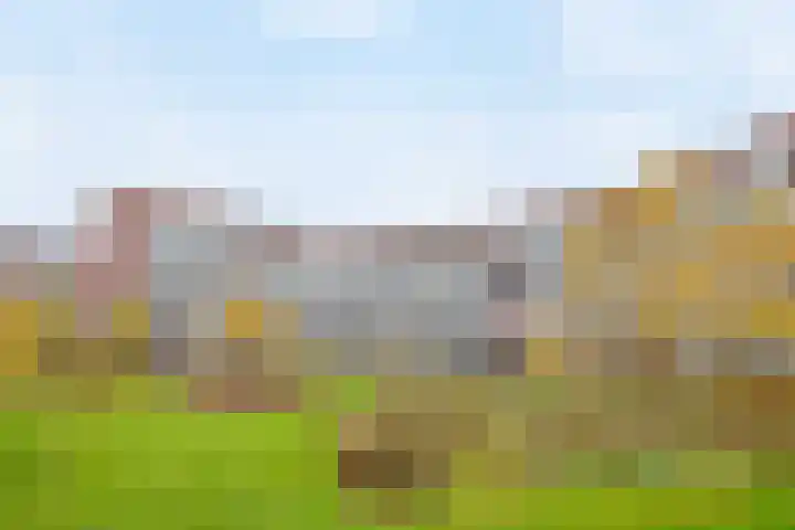 Casparushof 12 Weesp thumbnail 4