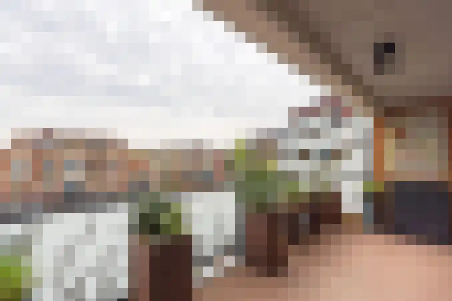 Casparushof 42 Weesp thumbnail 14