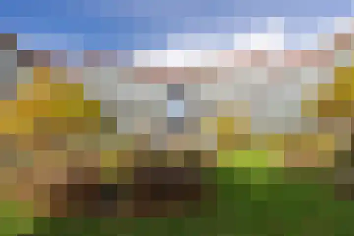 Casparushof 70 Weesp thumbnail 30