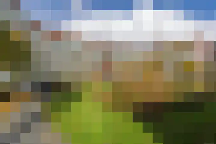 Casparushof 70 Weesp thumbnail 31