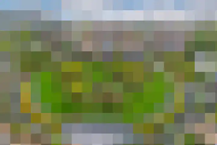Casparushof 70 Weesp thumbnail 4