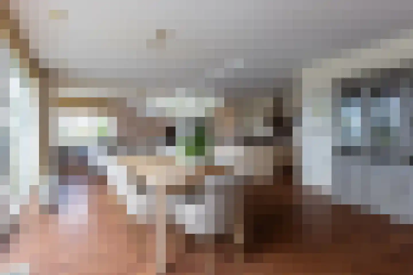 Casparushof 74 Weesp thumbnail 19