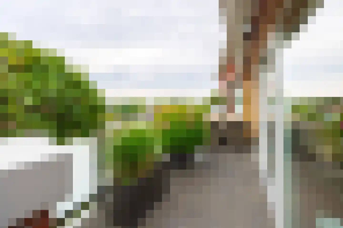 Casparushof 74 Weesp thumbnail 38