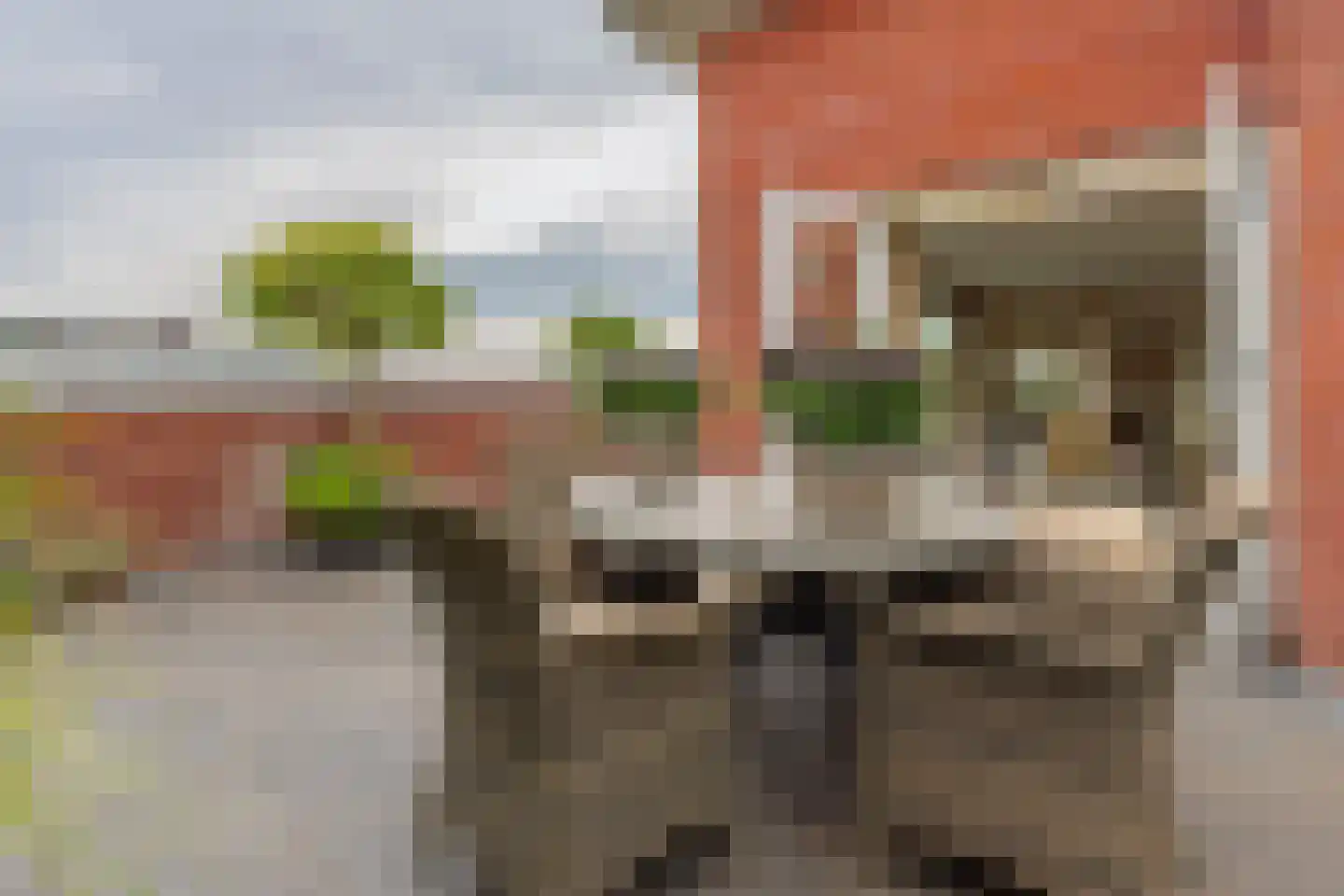Casparushof 74 Weesp thumbnail 44