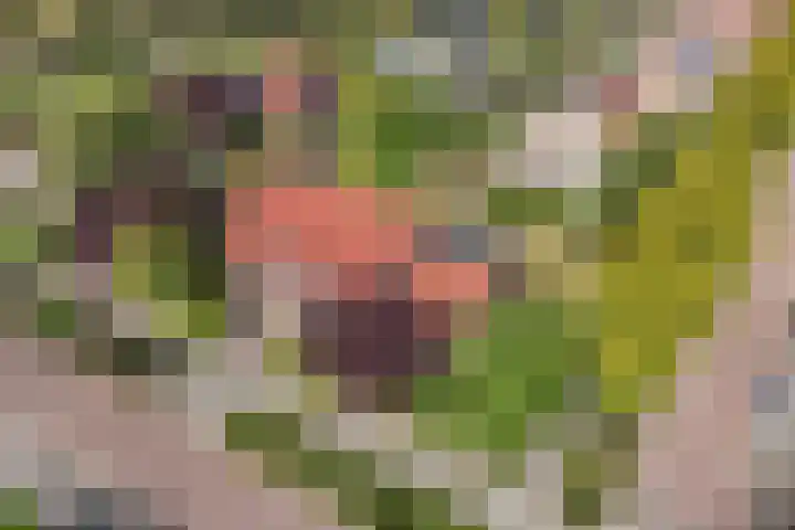 Casper Kombrinkstraat 16 Kraggenburg thumbnail 12