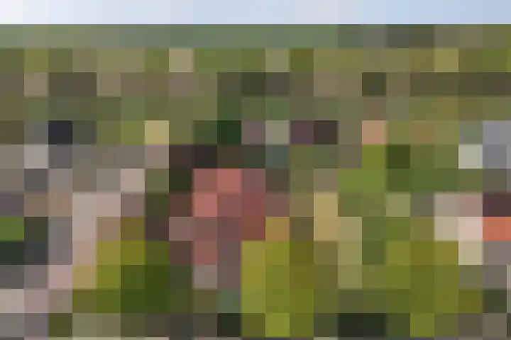 Casper Kombrinkstraat 16 Kraggenburg thumbnail 14