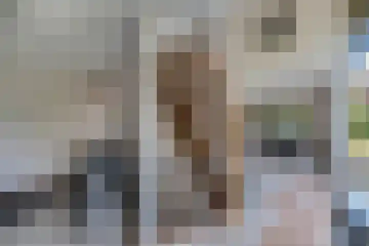 Casper Kombrinkstraat 16 Kraggenburg thumbnail 17