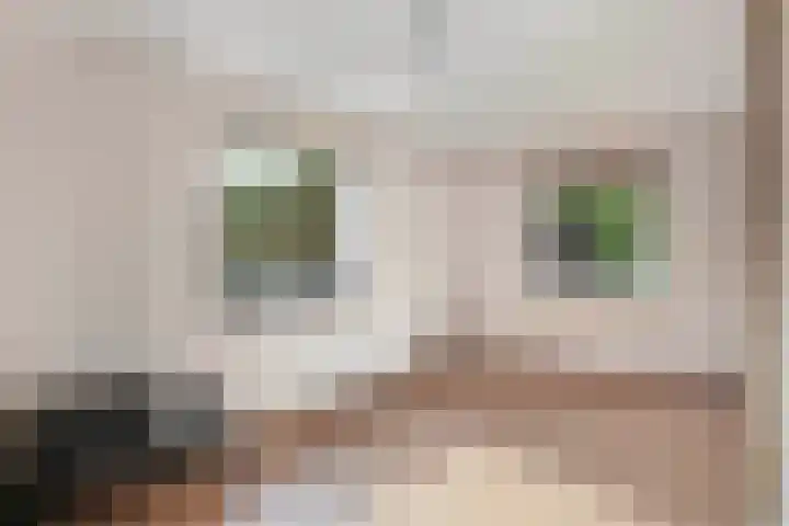 Casper Kombrinkstraat 16 Kraggenburg thumbnail 27
