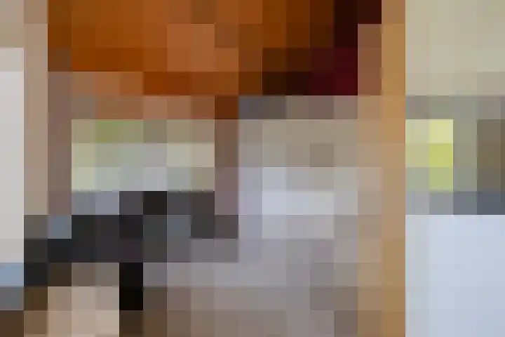 Casper Kombrinkstraat 16 Kraggenburg thumbnail 37