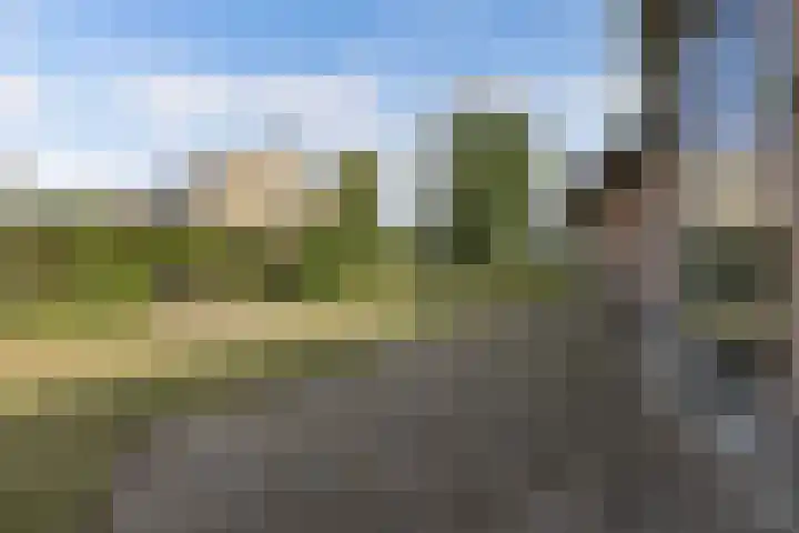 Casper Kombrinkstraat 16 Kraggenburg thumbnail 45