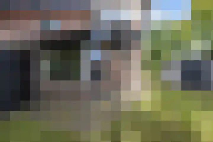 Casper Kombrinkstraat 16 Kraggenburg thumbnail 47