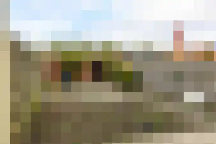 Casper Kombrinkstraat 6 Kraggenburg thumbnail 13