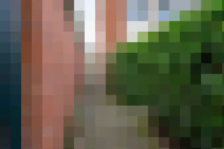 Casper Kombrinkstraat 6 Kraggenburg thumbnail 14