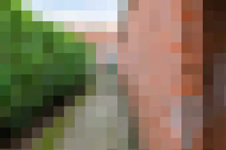 Casper Kombrinkstraat 6 Kraggenburg thumbnail 15