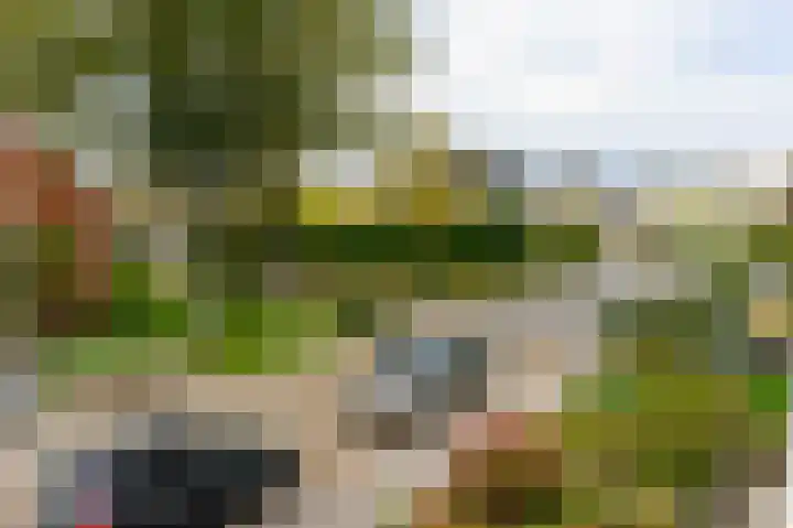 Casper Kombrinkstraat 6 Kraggenburg thumbnail 31