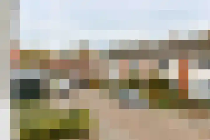 Casper Kombrinkstraat 6 Kraggenburg thumbnail 32