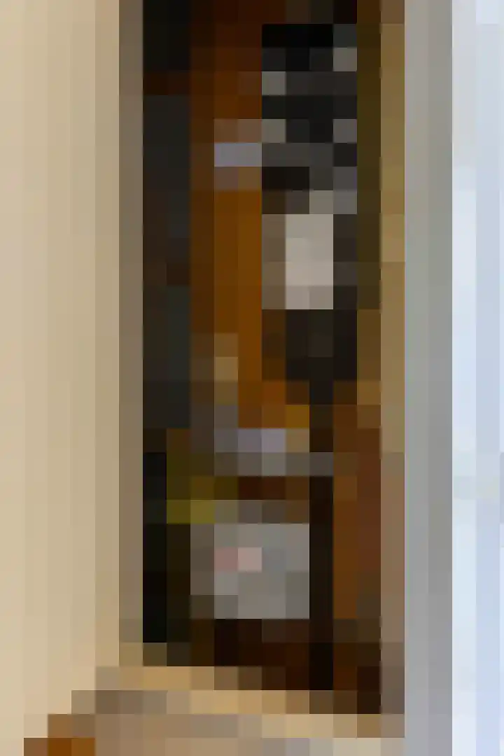 Casper Kombrinkstraat 6 Kraggenburg thumbnail 4