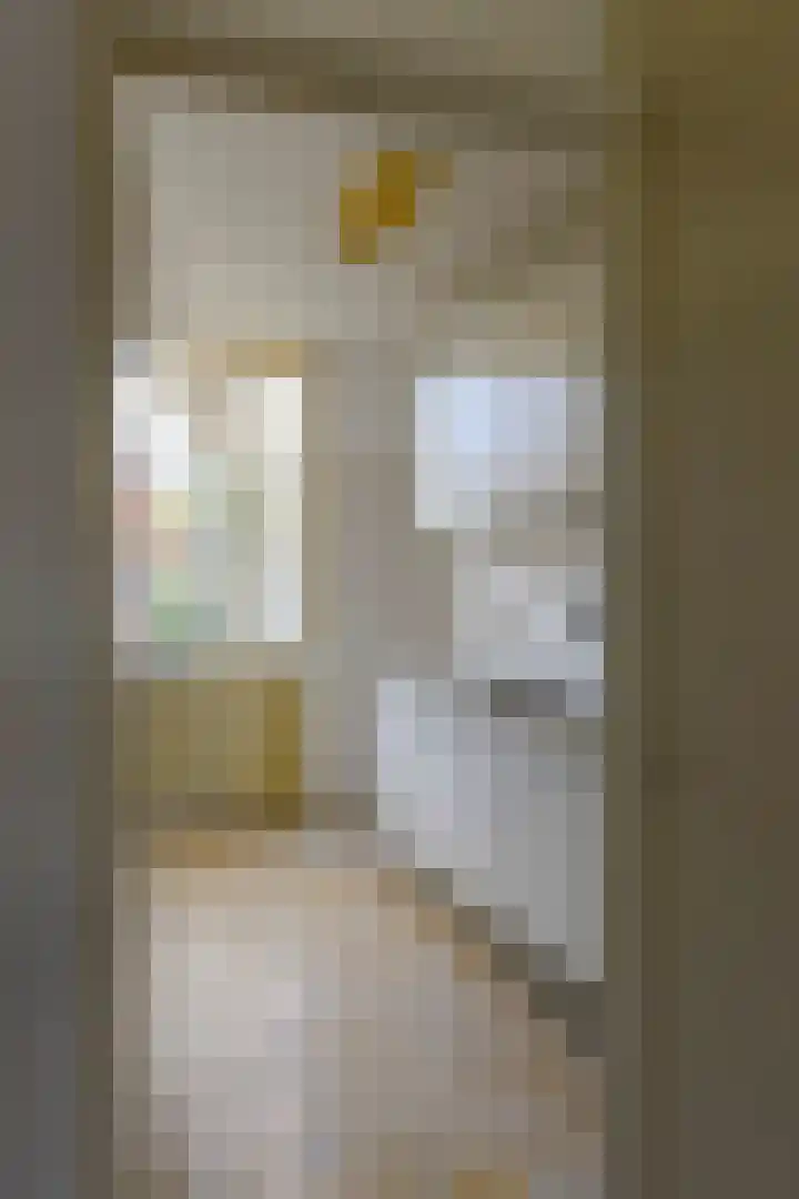 Casper Kombrinkstraat 6 Kraggenburg thumbnail 8