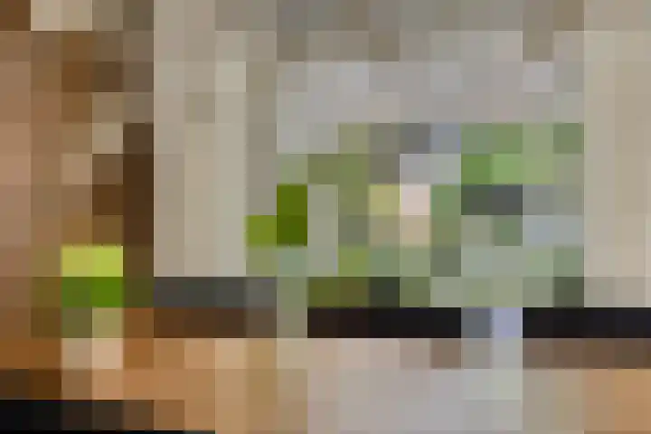 Casper Verdellenstraat 20 Helden thumbnail 13