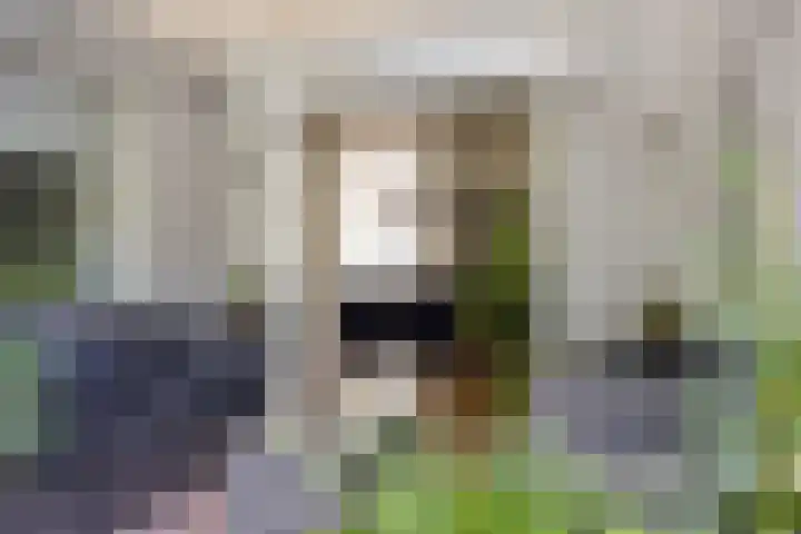 Casper Verdellenstraat 20 Helden thumbnail 29