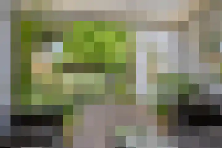 Casper Verdellenstraat 20 Helden thumbnail 30