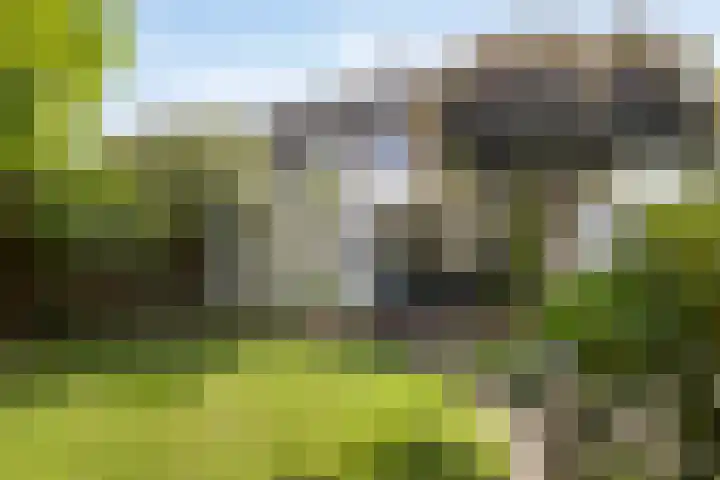 Casper Verdellenstraat 20 Helden thumbnail 32