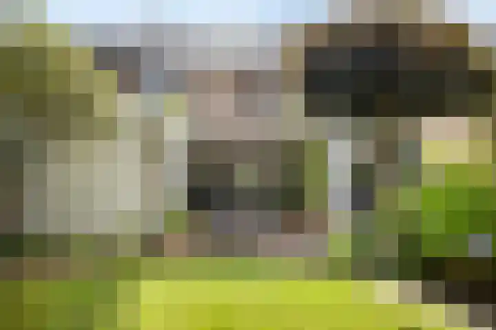 Casper Verdellenstraat 20 Helden thumbnail 33