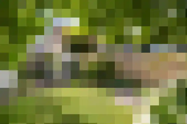 Casper Verdellenstraat 20 Helden thumbnail 34