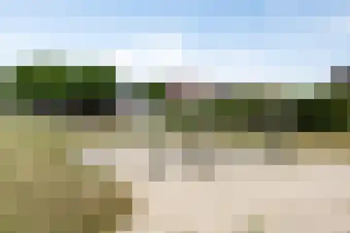 Casper Verdellenstraat 20 Helden thumbnail 37