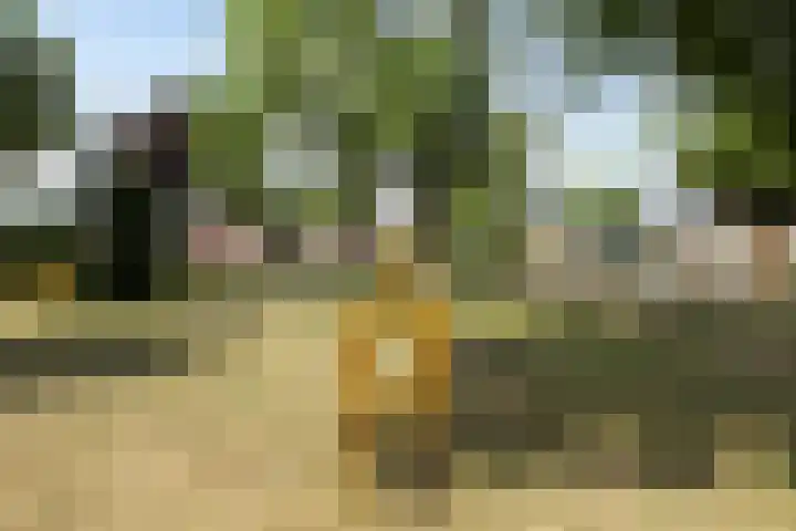 Casper Verdellenstraat 20 Helden thumbnail 38
