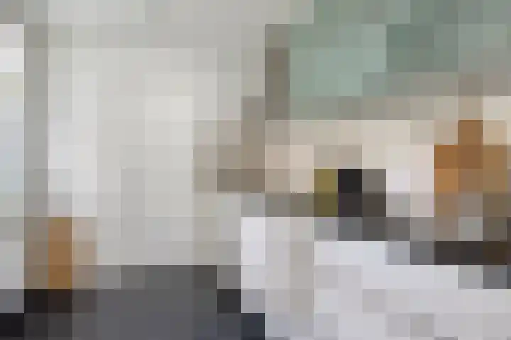 Casper Verdellenstraat 20 Helden thumbnail 4