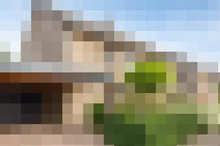 Casper Verdellenstraat 20 Helden thumbnail 5