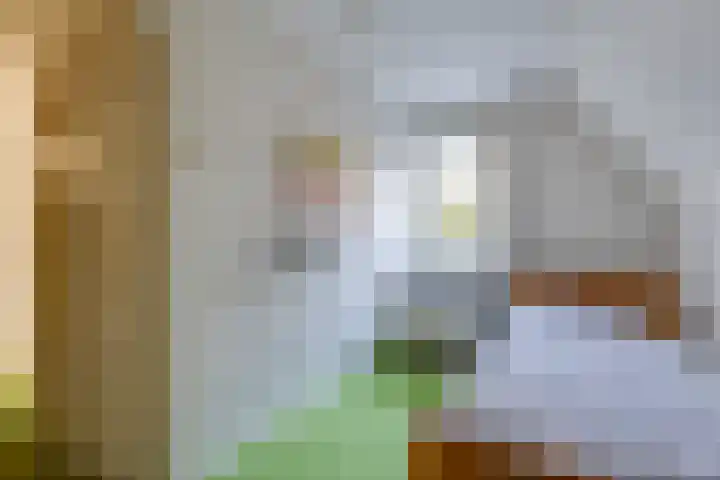 Caspersstraat 25 De Heurne thumbnail 28