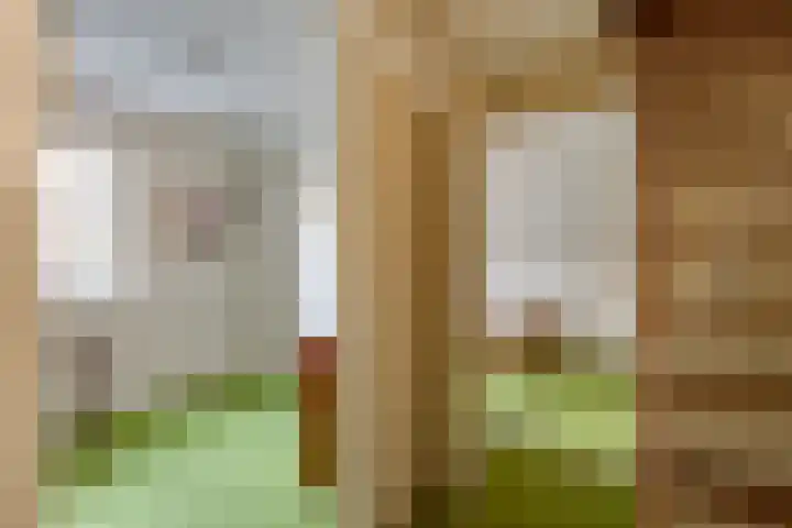 Caspersstraat 25 De Heurne thumbnail 29