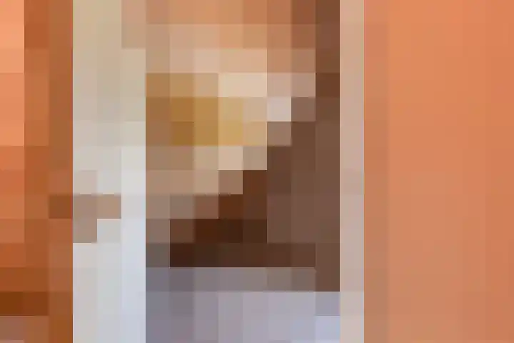 Caspersstraat 25 De Heurne thumbnail 30